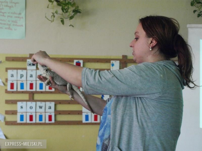 Warsztaty zoologiczne