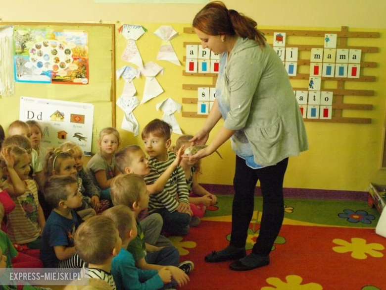 Warsztaty zoologiczne