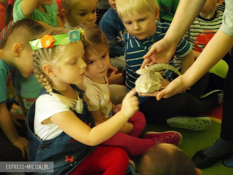 Warsztaty zoologiczne