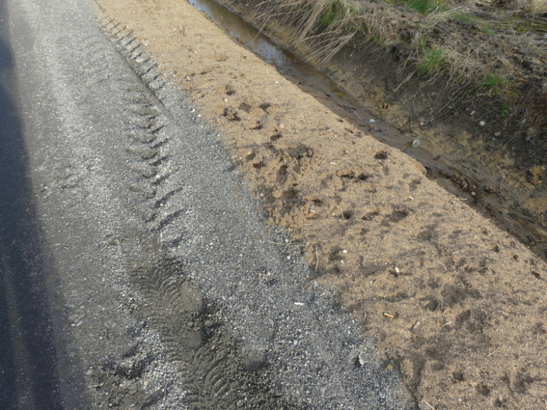 Droga relacji Mrozów-Wojnowice-Wilkostów