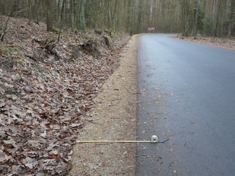 Droga relacji Mrozów-Wojnowice-Wilkostów