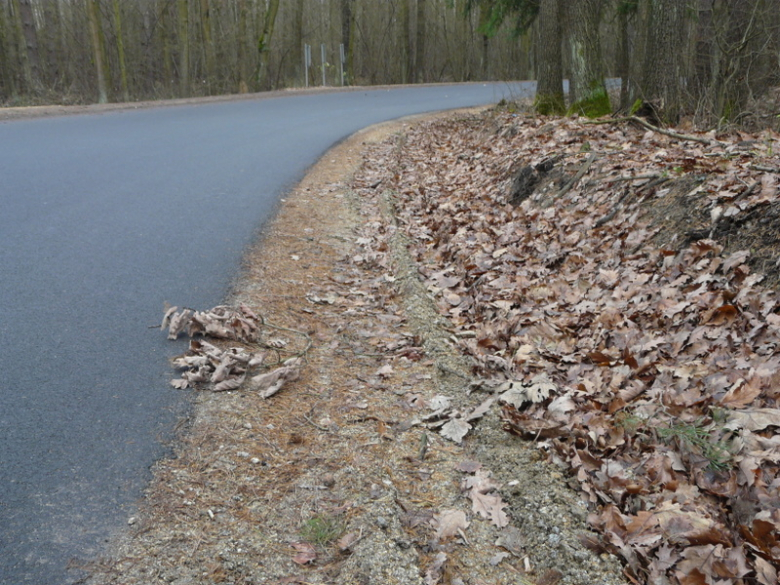 Droga relacji Mrozów-Wojnowice-Wilkostów