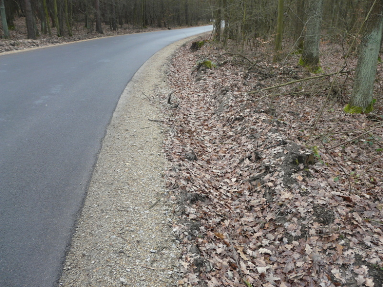 Droga relacji Mrozów-Wojnowice-Wilkostów