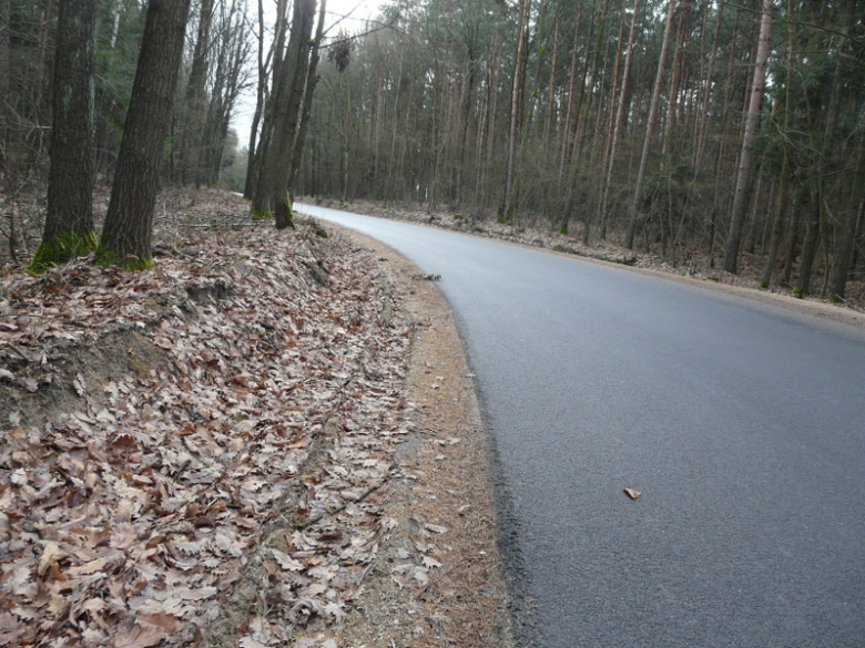 Droga relacji Mrozów-Wojnowice-Wilkostów