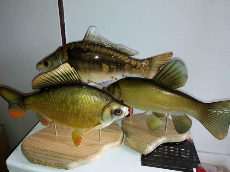 Zawody wędkarskie w Piekarach