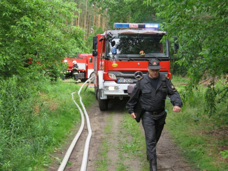 Ćwiczenia przeciwpożarowe