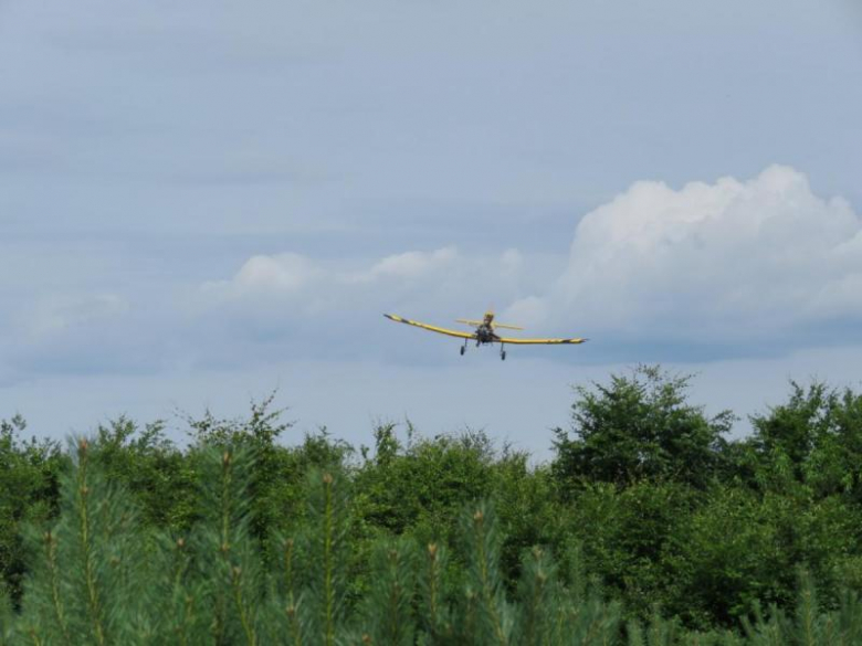 Ćwiczenia przeciwpożarowe