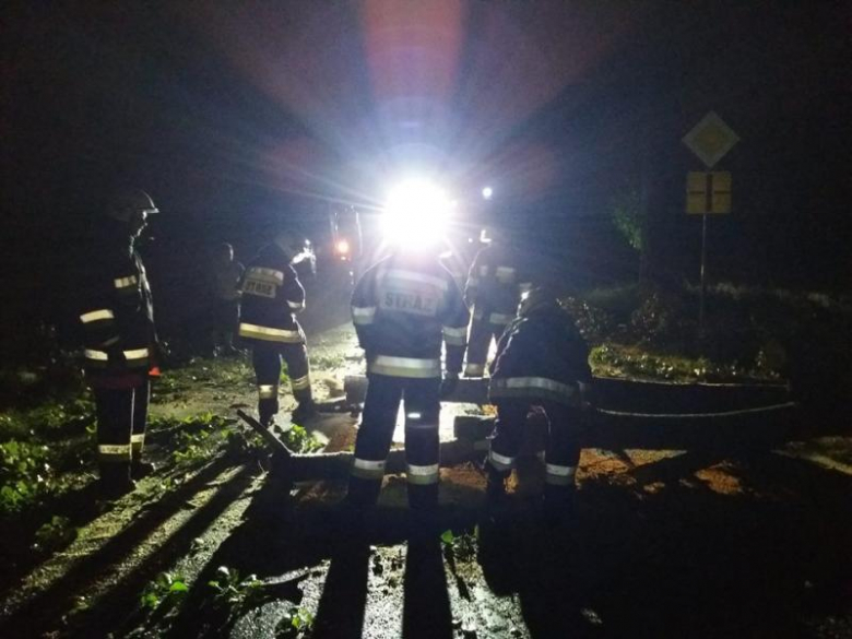 Powalone drzewo w Łagiewnikach Średzkich