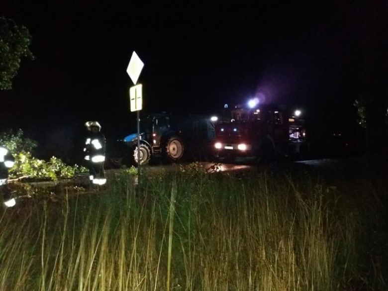 Powalone drzewo w Łagiewnikach Średzkich