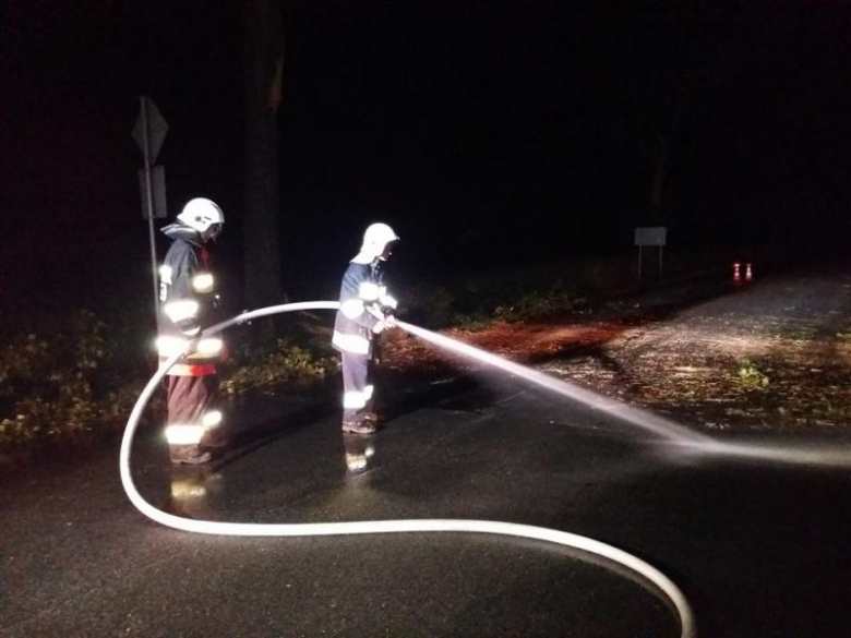 Powalone drzewo w Łagiewnikach Średzkich