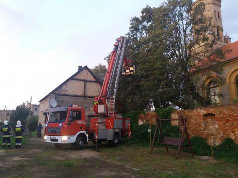 Akcja strażaków w Udaninie