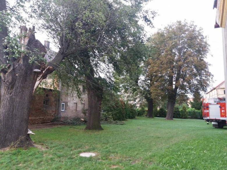 Akcja strażaków w Udaninie