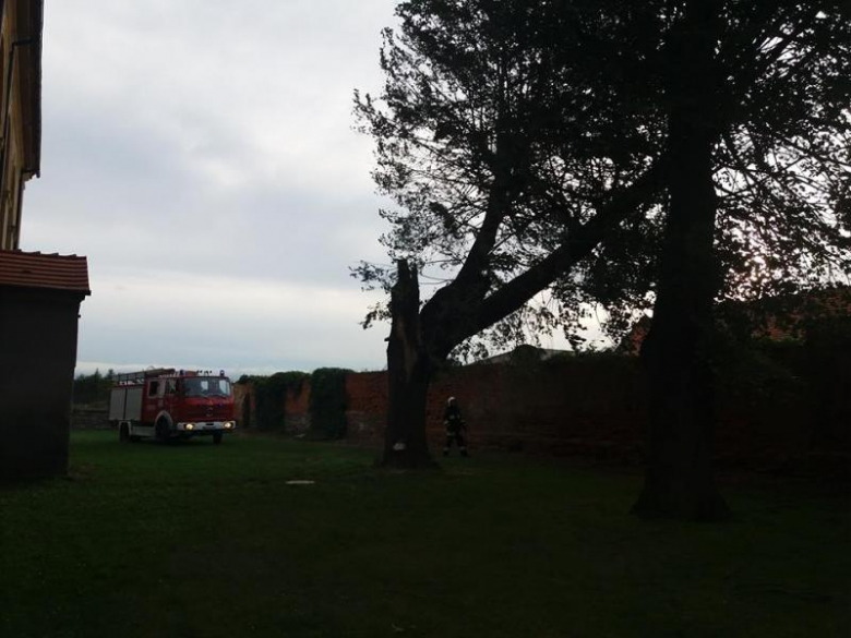 Akcja strażaków w Udaninie