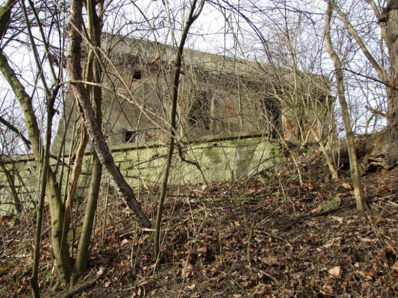 Ruiny dworu od strony wschodniej