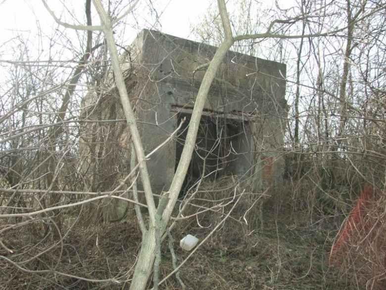 Ruiny dworu od strony północnej 