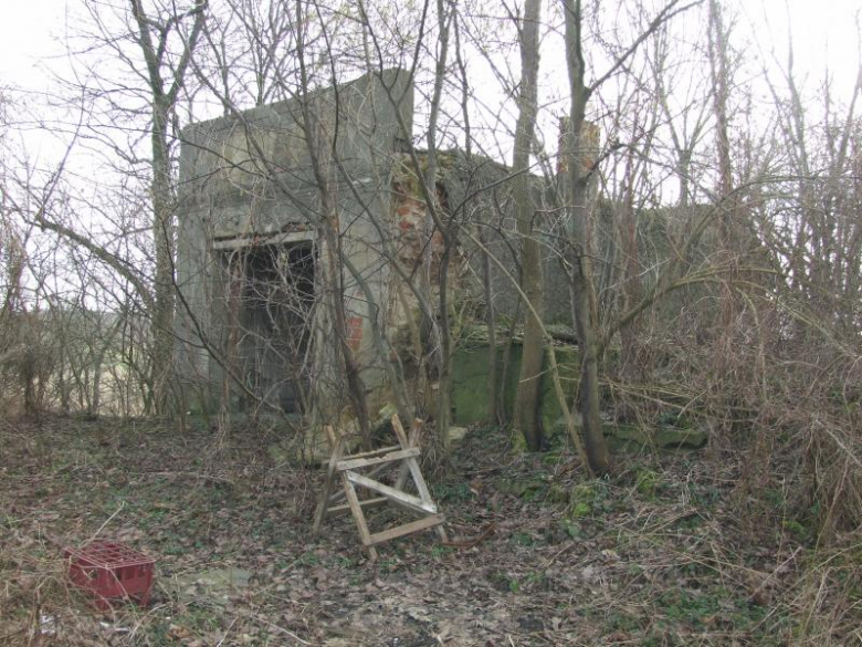 Ruiny dworu od strony północno-zachodniej