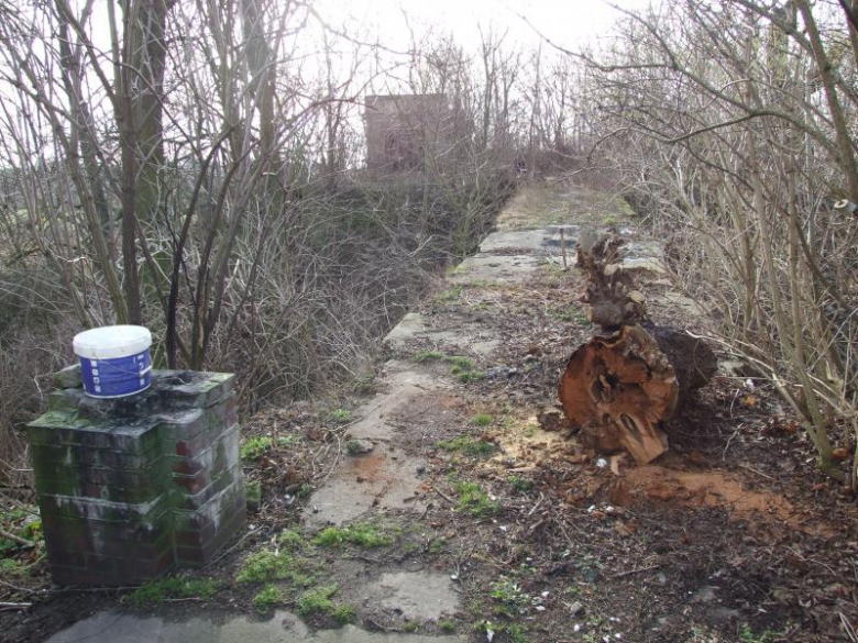 Pozostałości mostu prowadzącego z folwarku do dworu