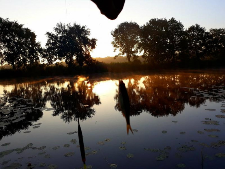 Nocne zawody wędkarskie