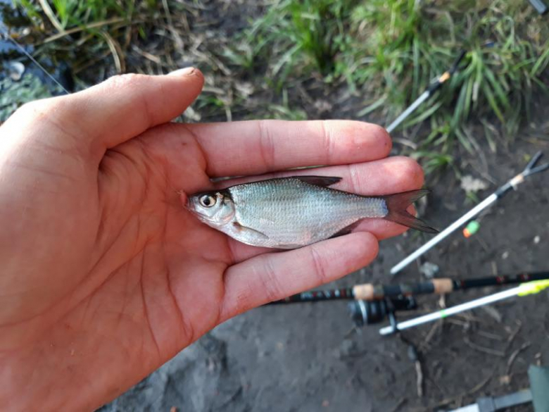 Nocne zawody wędkarskie