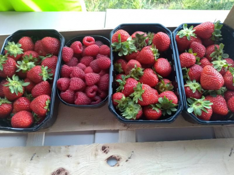 Festyn Rodzinny we Wróblowicach