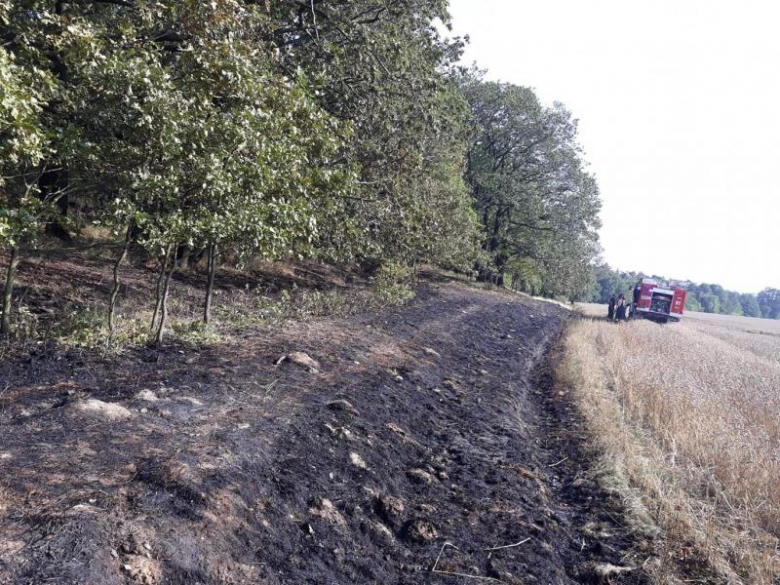 Pożar lasu i pola w Konarach