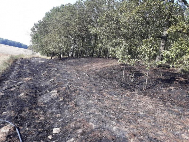 Pożar lasu i pola w Konarach