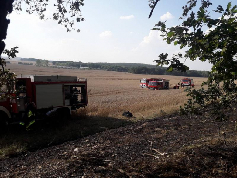 Pożar lasu i pola w Konarach
