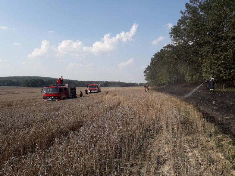 Pożar lasu i pola w Konarach
