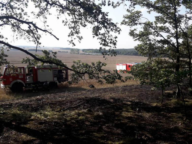 Pożar lasu i pola w Konarach