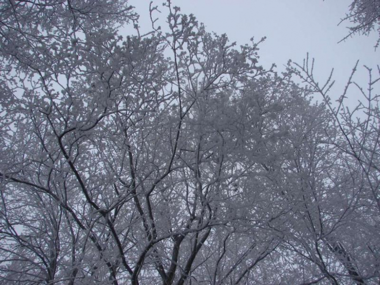 Srebrna Góra w zimie