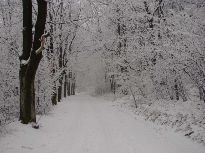 Srebrna Góra w zimie