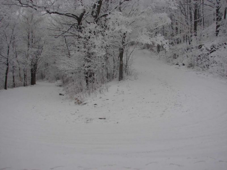 Srebrna Góra w zimie