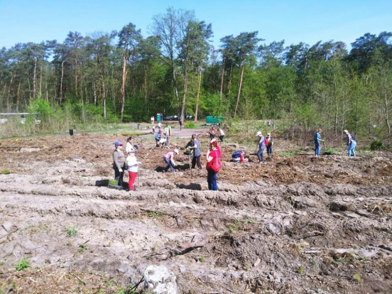 Sadzenie lasu we Wróblowicach