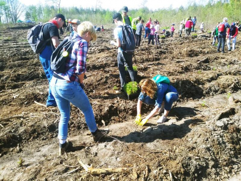 Sadzenie lasu we Wróblowicach