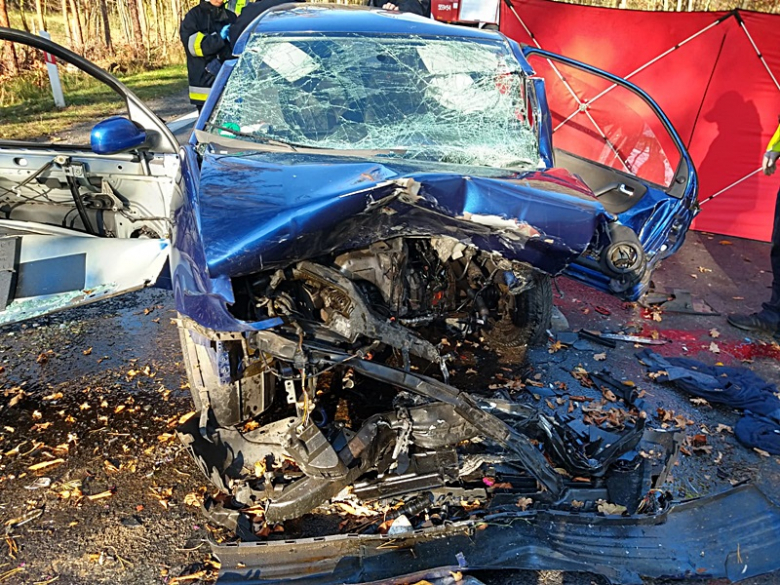 Wypadek śmiertelny na drodze krajowej 94