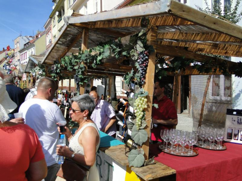 Święto Wina w Środzie Śląskiej 2011