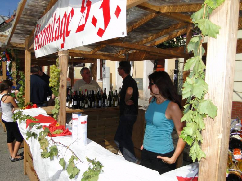 Święto Wina w Środzie Śląskiej 2011