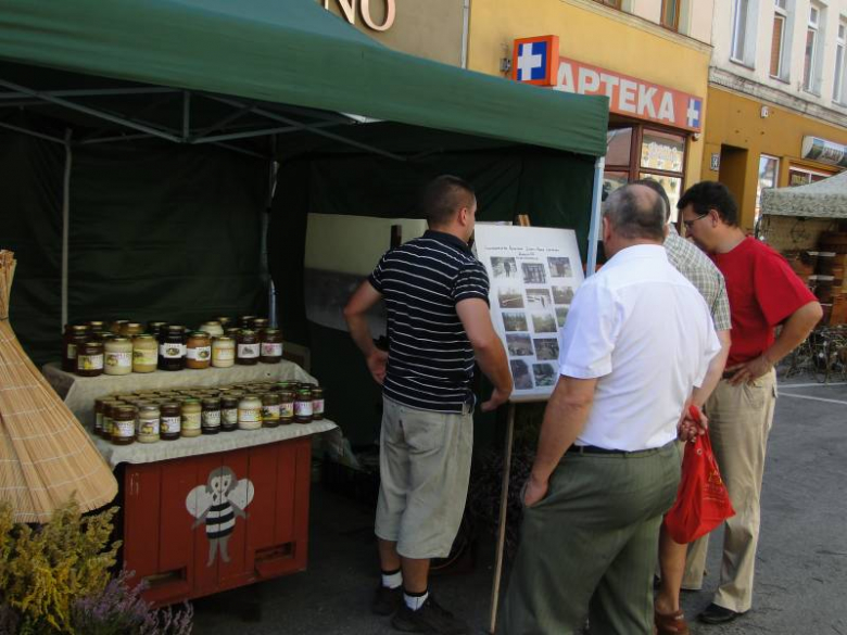 Święto Wina w Środzie Śląskiej 2011