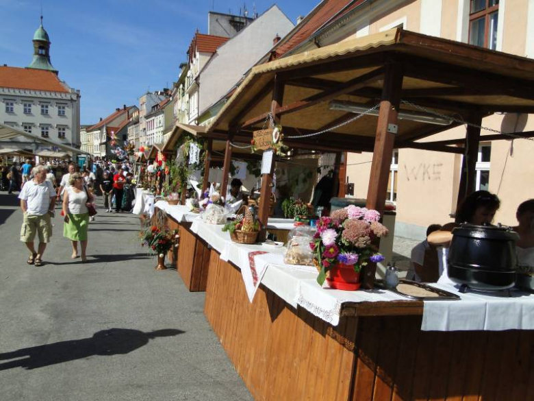 Święto Wina w Środzie Śląskiej 2011