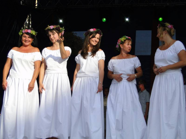 Święto Wina w Środzie Śląskiej 2011