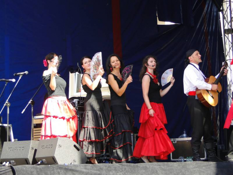 Święto Wina w Środzie Śląskiej 2011