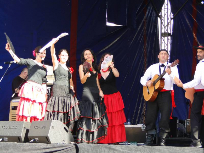 Święto Wina w Środzie Śląskiej 2011