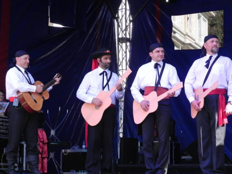 Święto Wina w Środzie Śląskiej 2011