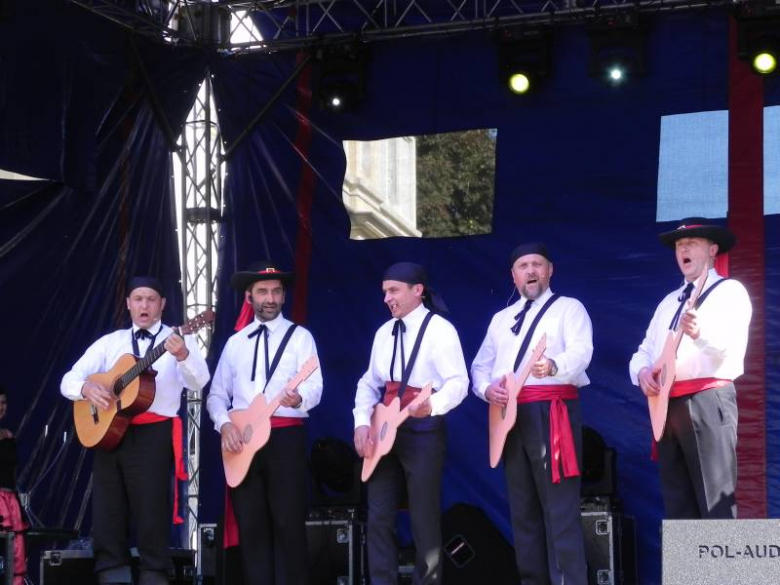 Święto Wina w Środzie Śląskiej 2011