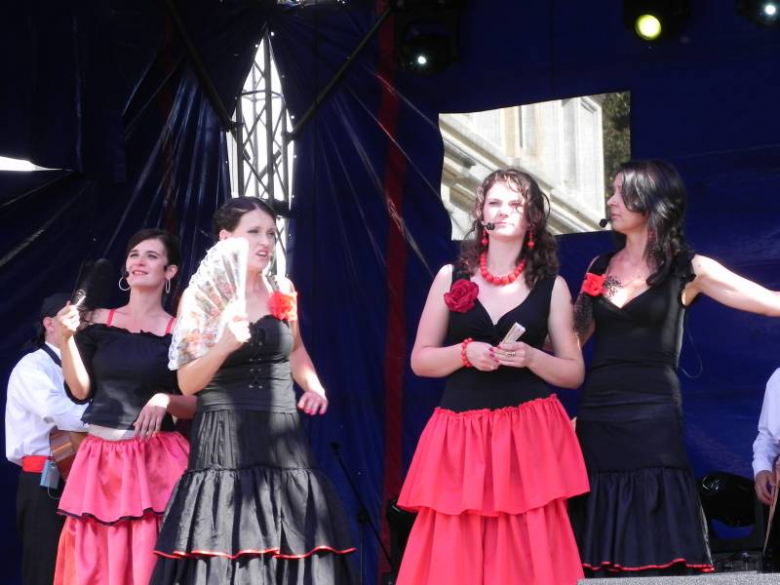 Święto Wina w Środzie Śląskiej 2011