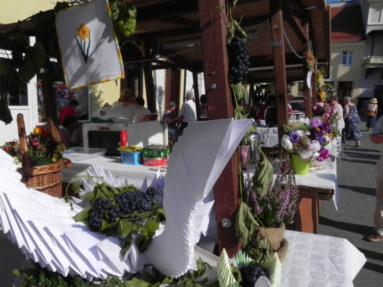 Święto Wina w Środzie Śląskiej 2011