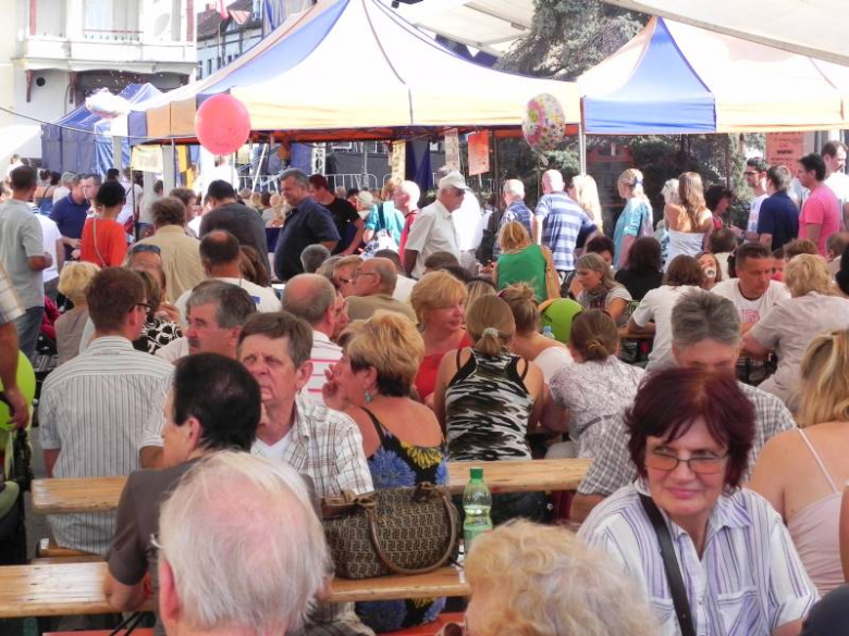 Święto Wina w Środzie Śląskiej 2011