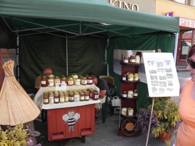 Święto Wina w Środzie Śląskiej 2011