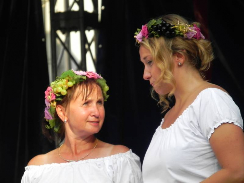Święto Wina w Środzie Śląskiej 2011