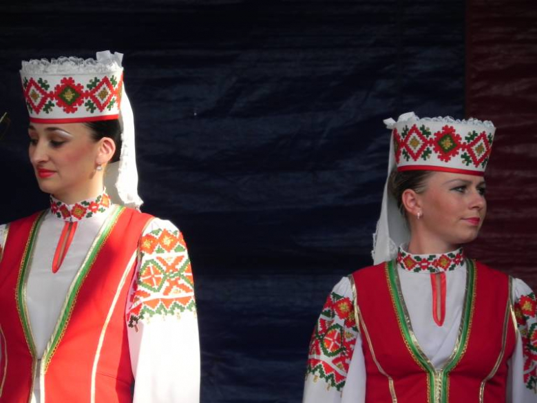 Święto Wina w Środzie Śląskiej 2011